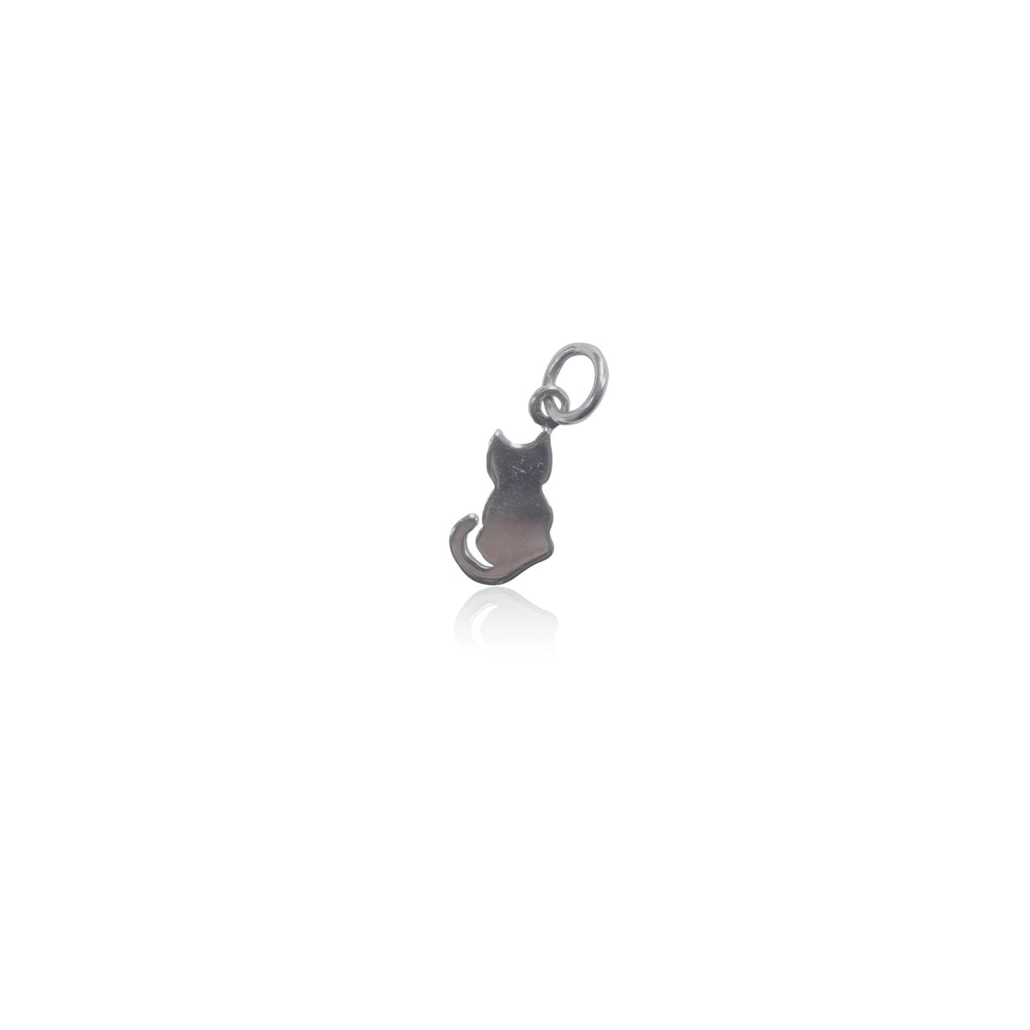 Sterling Silver Charms